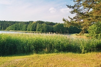 Roofensee